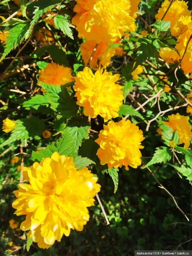 Абинск — Туризм и путешествия: фотоотчеты из поездок