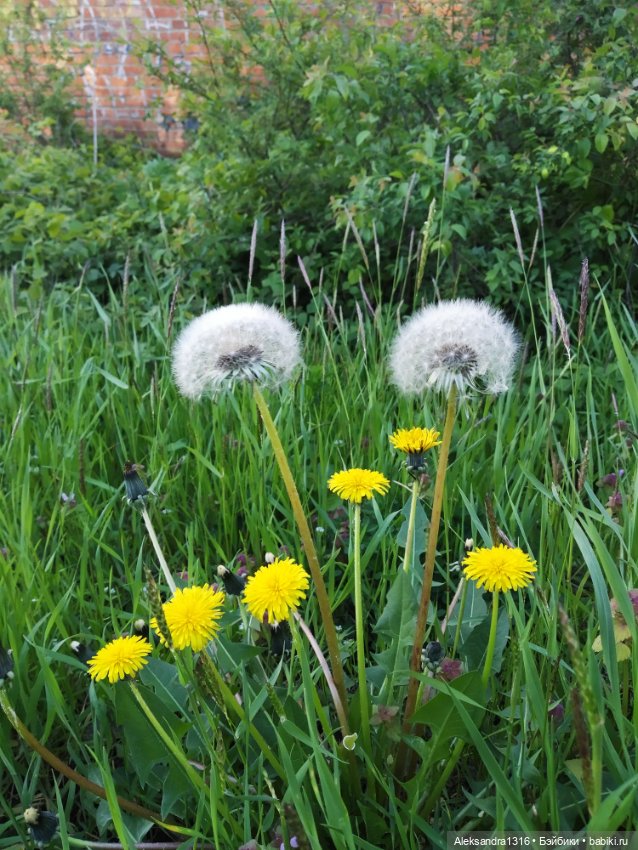 Абинск — Туризм и путешествия: фотоотчеты из поездок