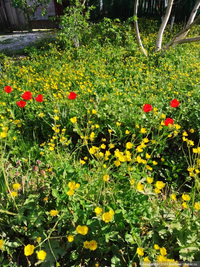 Абинск — Туризм и путешествия: фотоотчеты из поездок