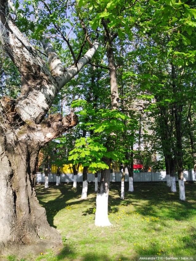 Абинск — Туризм и путешествия: фотоотчеты из поездок