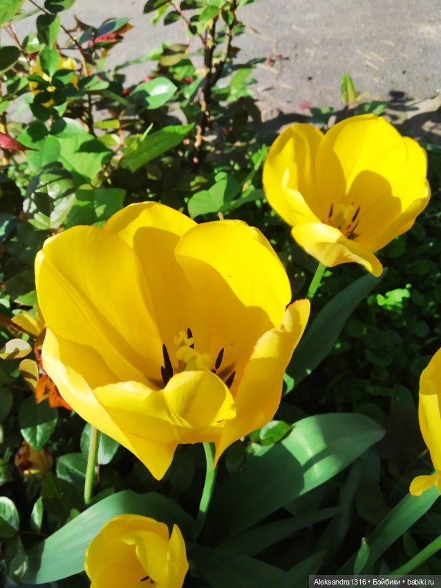 Абинск — Туризм и путешествия: фотоотчеты из поездок