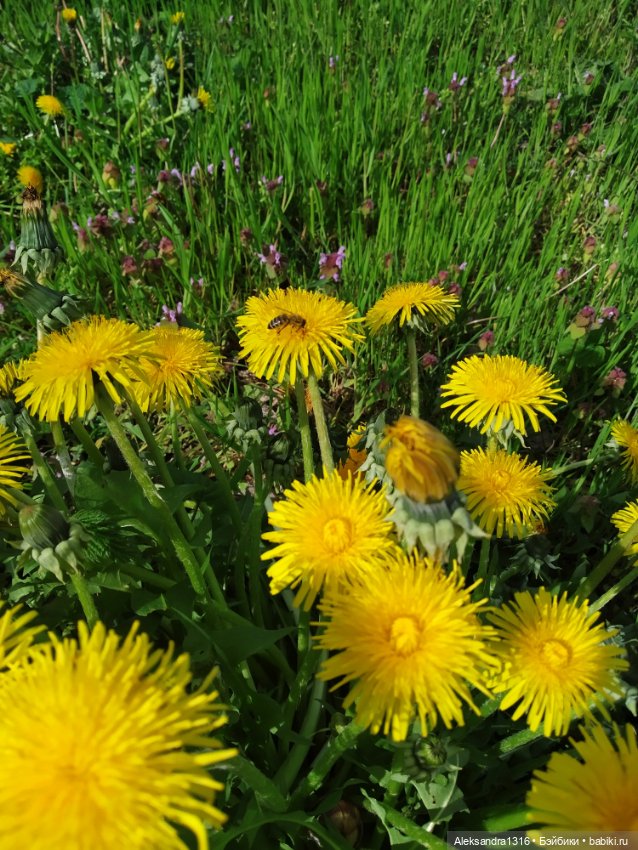 Абинск — Туризм и путешествия: фотоотчеты из поездок