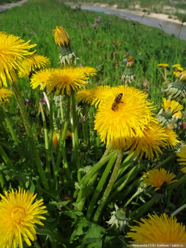 Абинск — Туризм и путешествия: фотоотчеты из поездок