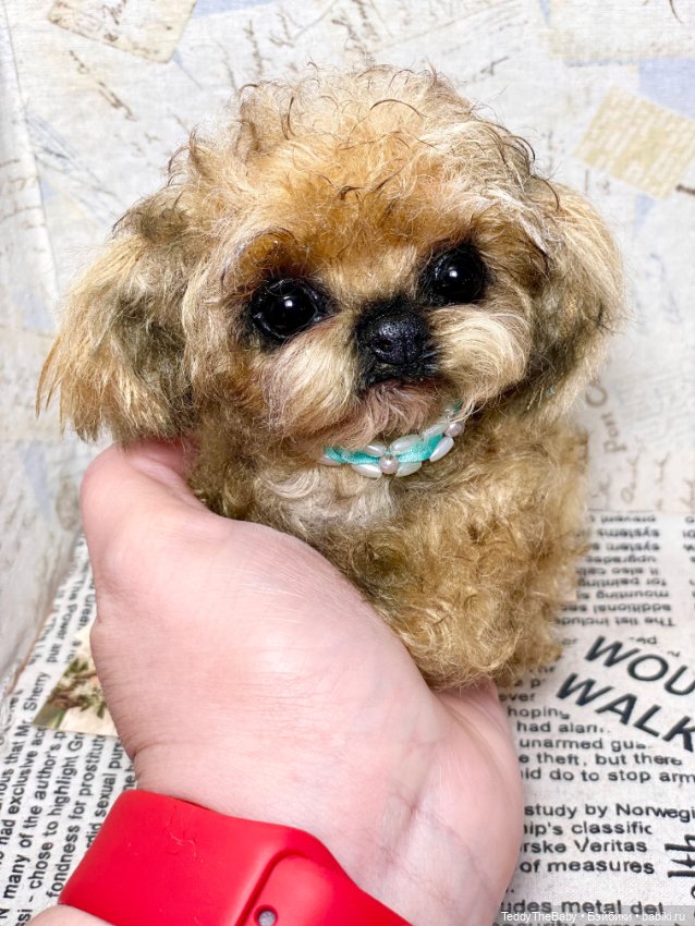 Baby 🐶 — Реалистичные игрушки и звери (Натюр): собаки (фото 2)
