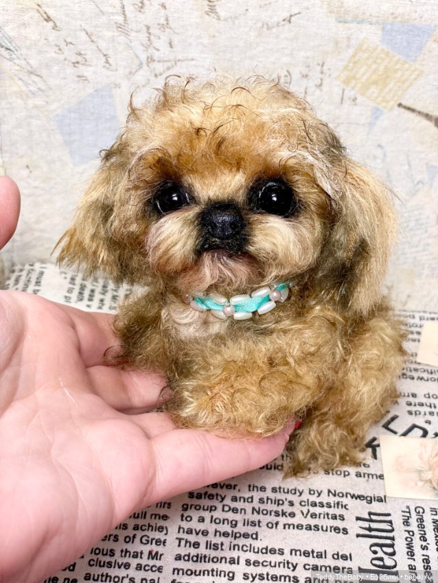 Baby 🐶 — Реалистичные игрушки и звери (Натюр): собаки