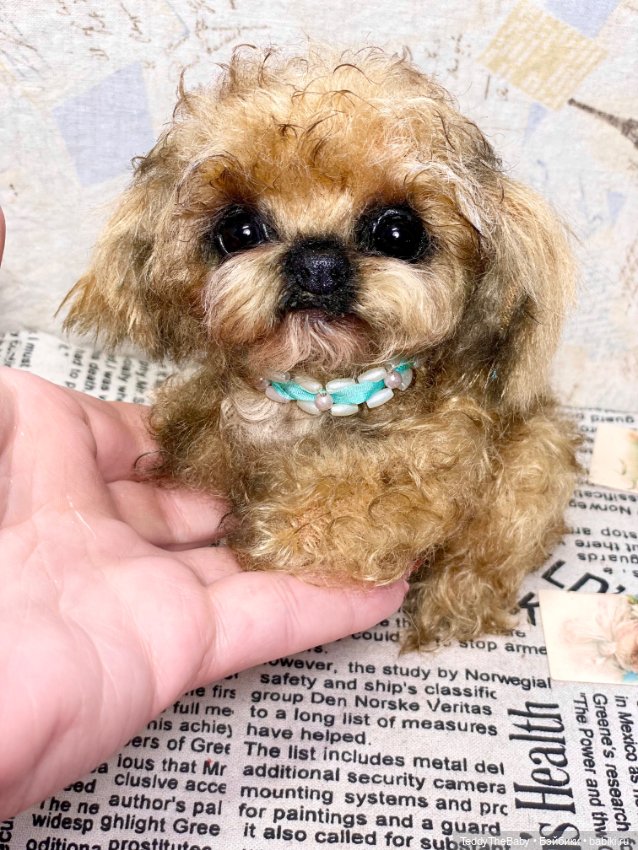 Baby 🐶 — Реалистичные игрушки и звери (Натюр): собаки