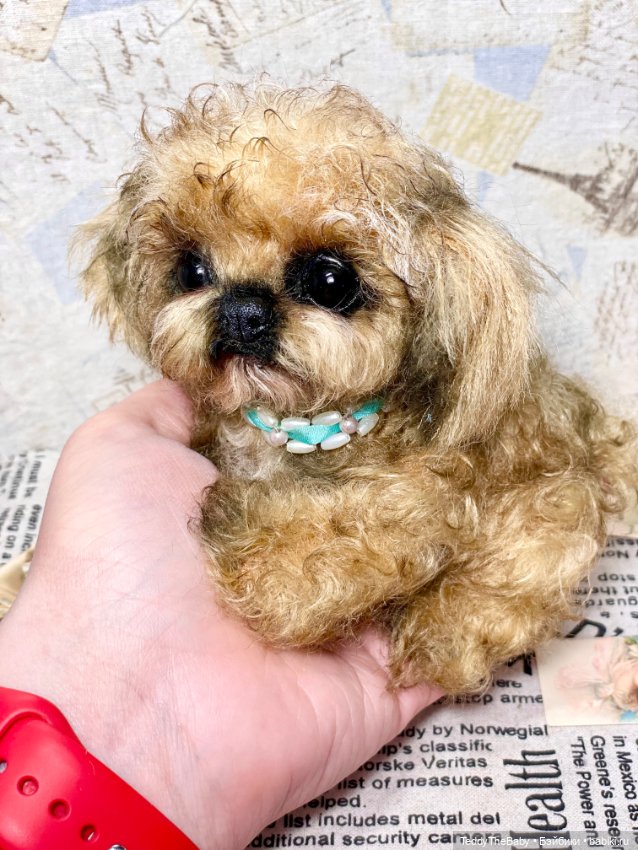 Baby 🐶 — Реалистичные игрушки и звери (Натюр): собаки (фото 4)