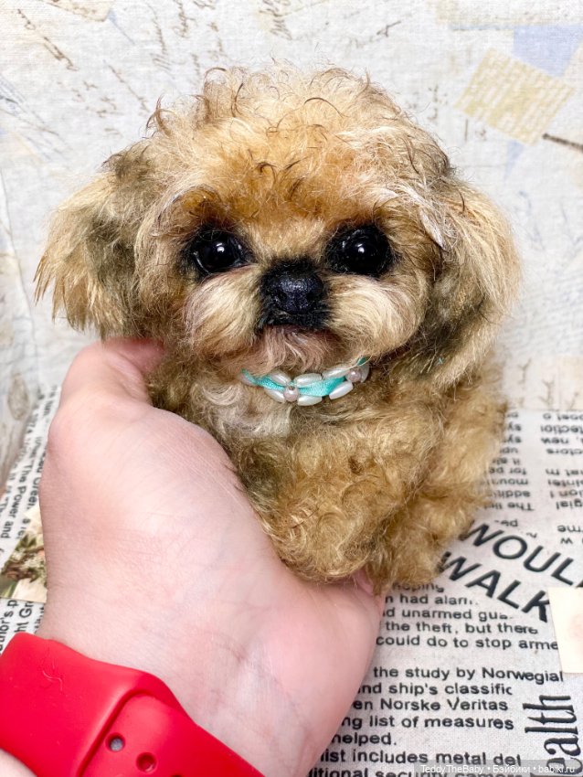 Baby 🐶 — Реалистичные игрушки и звери (Натюр): собаки (фото 6)