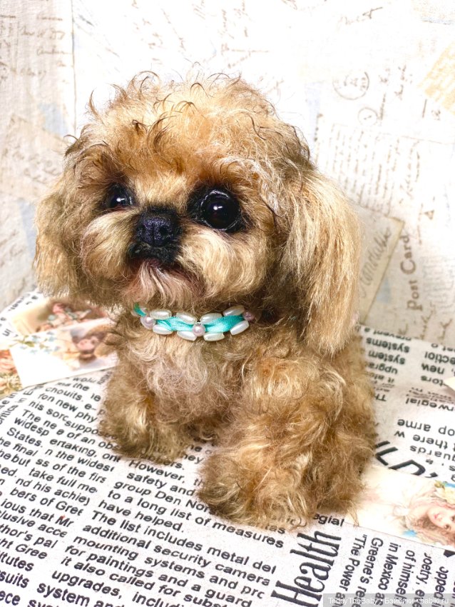 Baby 🐶 — Реалистичные игрушки и звери (Натюр): собаки
