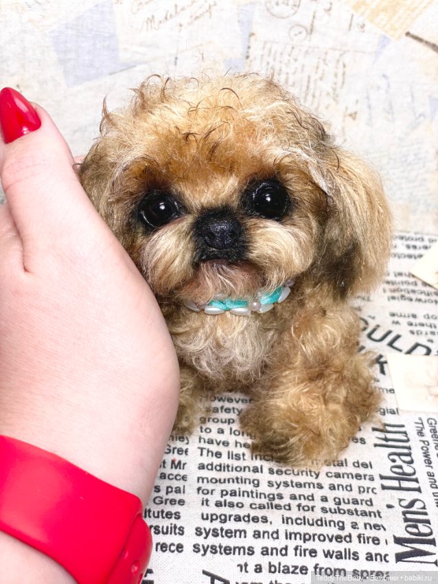 Baby 🐶 — Реалистичные игрушки и звери (Натюр): собаки