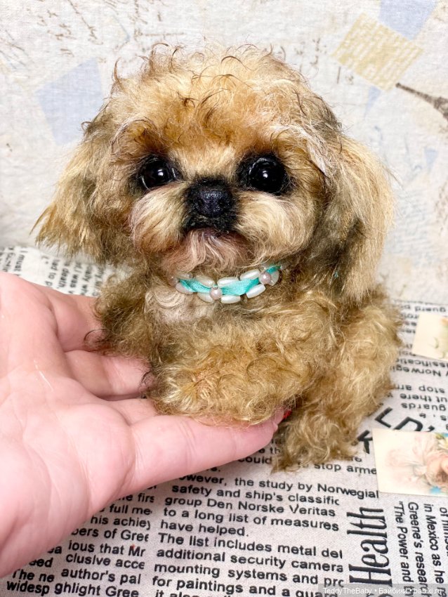 Baby 🐶 — Реалистичные игрушки и звери (Натюр): собаки
