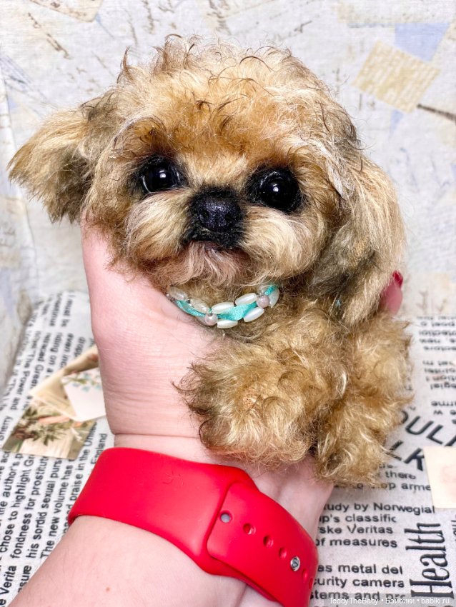 Baby 🐶 — Реалистичные игрушки и звери (Натюр): собаки