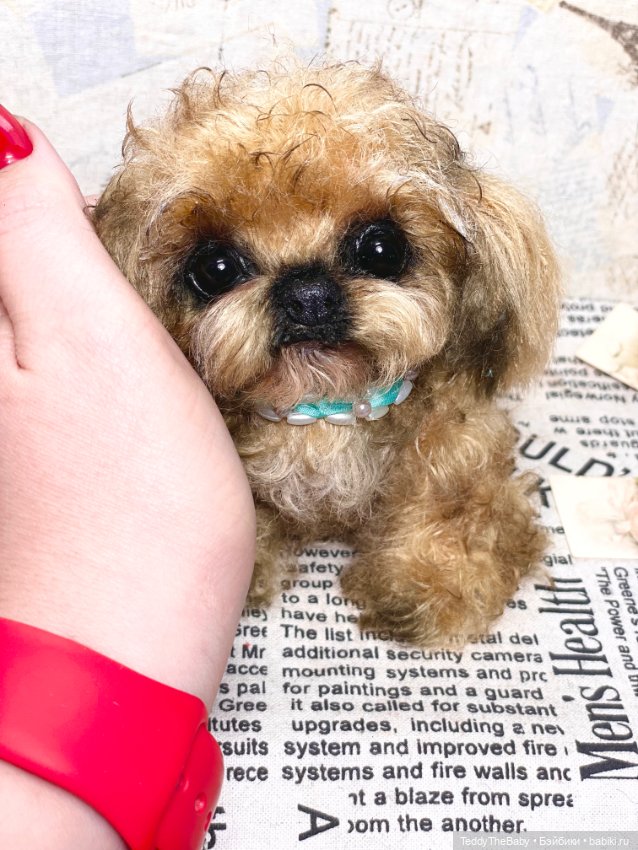 Baby 🐶 — Реалистичные игрушки и звери (Натюр): собаки