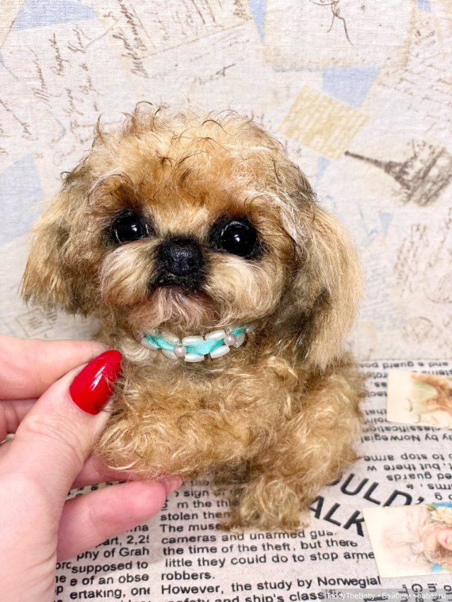 Baby 🐶 — Реалистичные игрушки и звери (Натюр): собаки