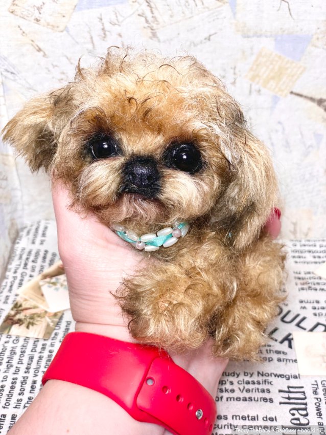 Baby 🐶 — Реалистичные игрушки и звери (Натюр): собаки