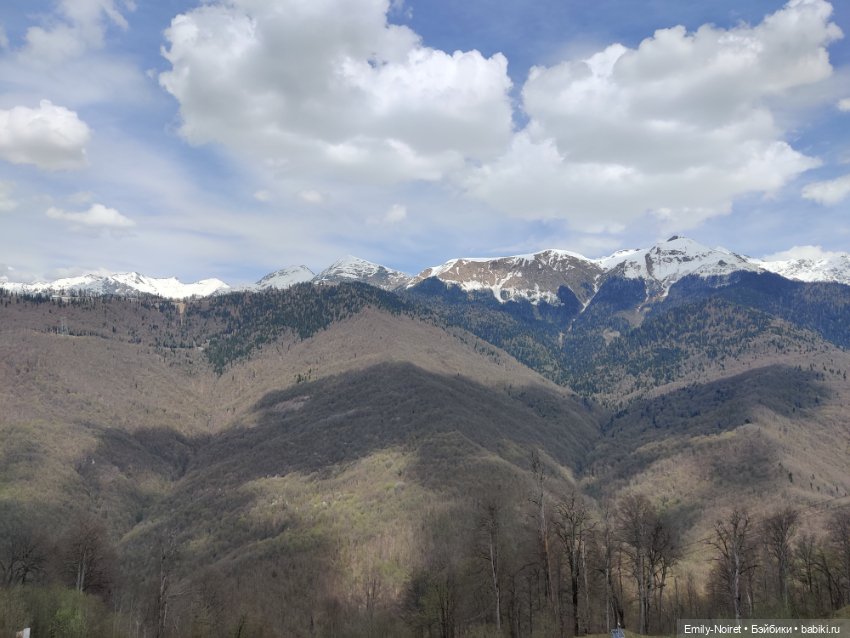 Сочи: Олимпийская деревня (фото 9)