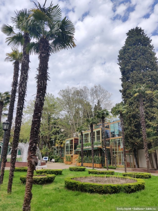 Сочи: Ривьера — Туризм и путешествия: фотоотчеты из поездок