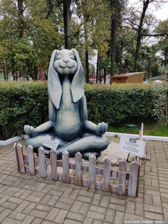 Сочи: Ривьера — Туризм и путешествия: фотоотчеты из поездок