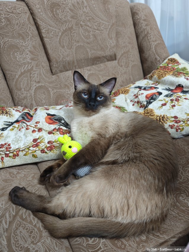 Птичка на скорую руку — Вязаные игрушки и амигуруми: крючком (фото 10)