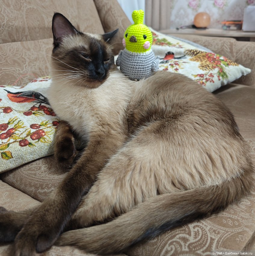 Птичка на скорую руку — Вязаные игрушки и амигуруми: крючком (фото 8)