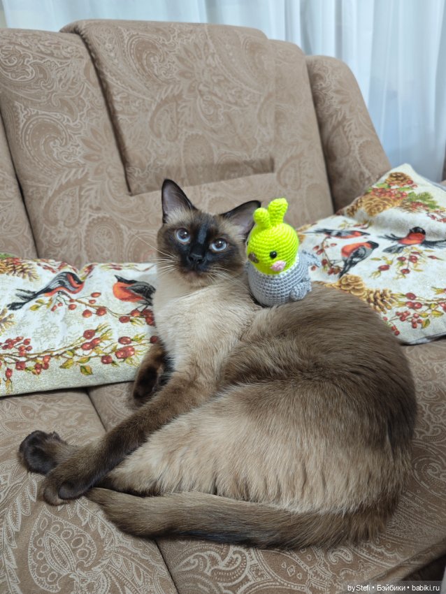 Птичка на скорую руку — Вязаные игрушки и амигуруми: крючком (фото 9)