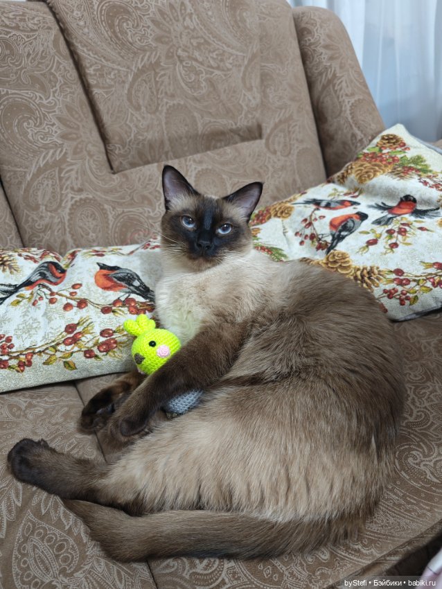 Птичка на скорую руку — Вязаные игрушки и амигуруми: крючком (фото 7)