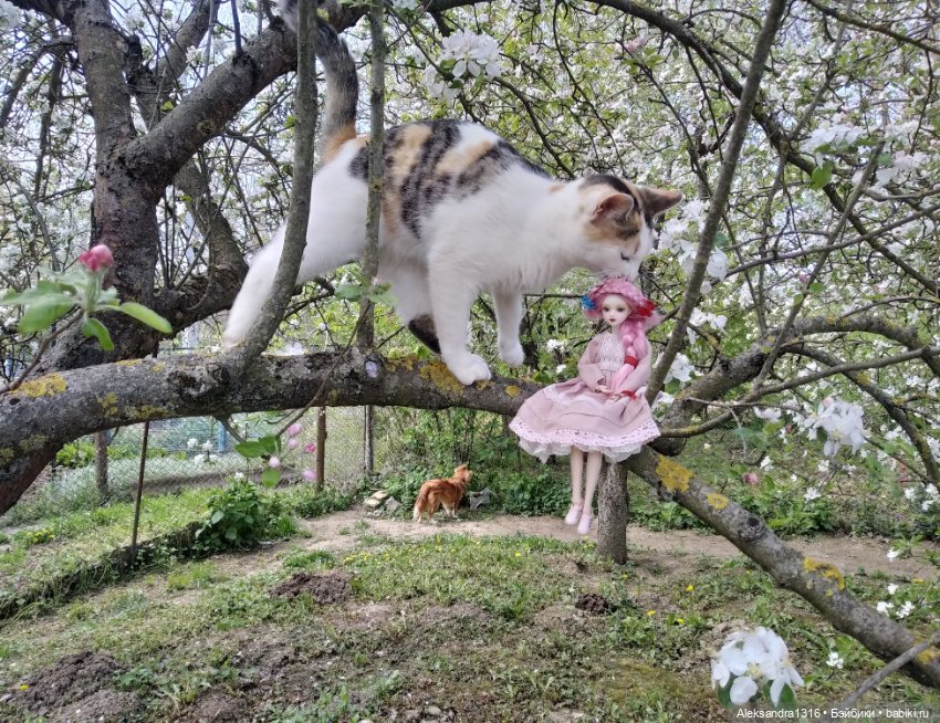 Маленькая весенняя Фея🤍 — Куклы J