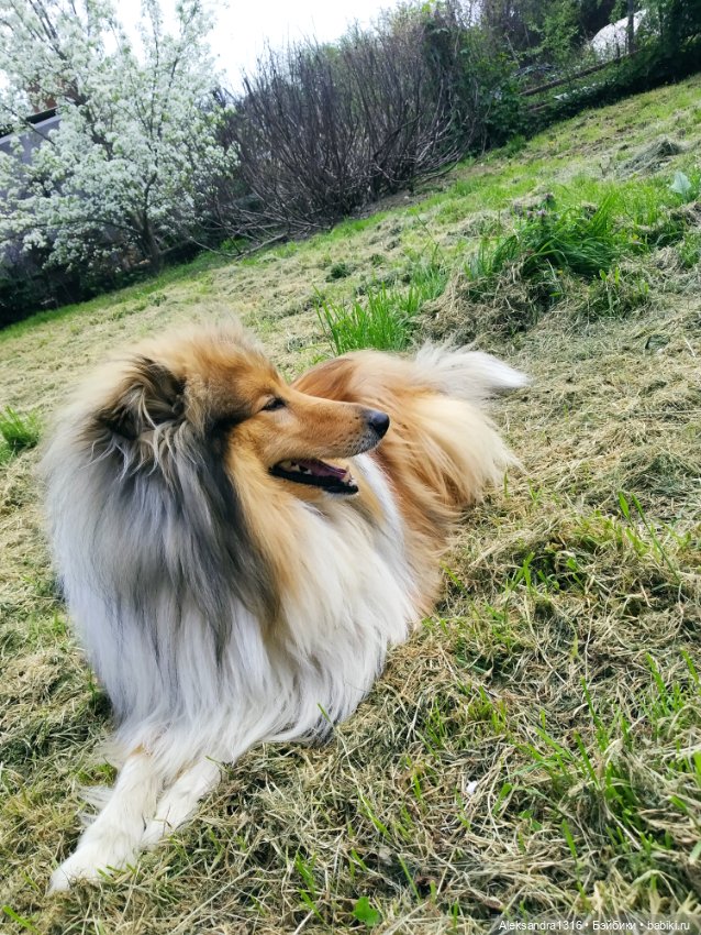 Маленькая весенняя Фея🤍 — Куклы J