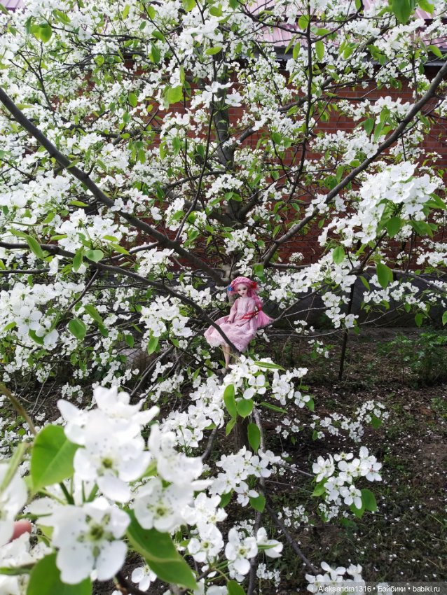 Маленькая весенняя Фея🤍 — Куклы J