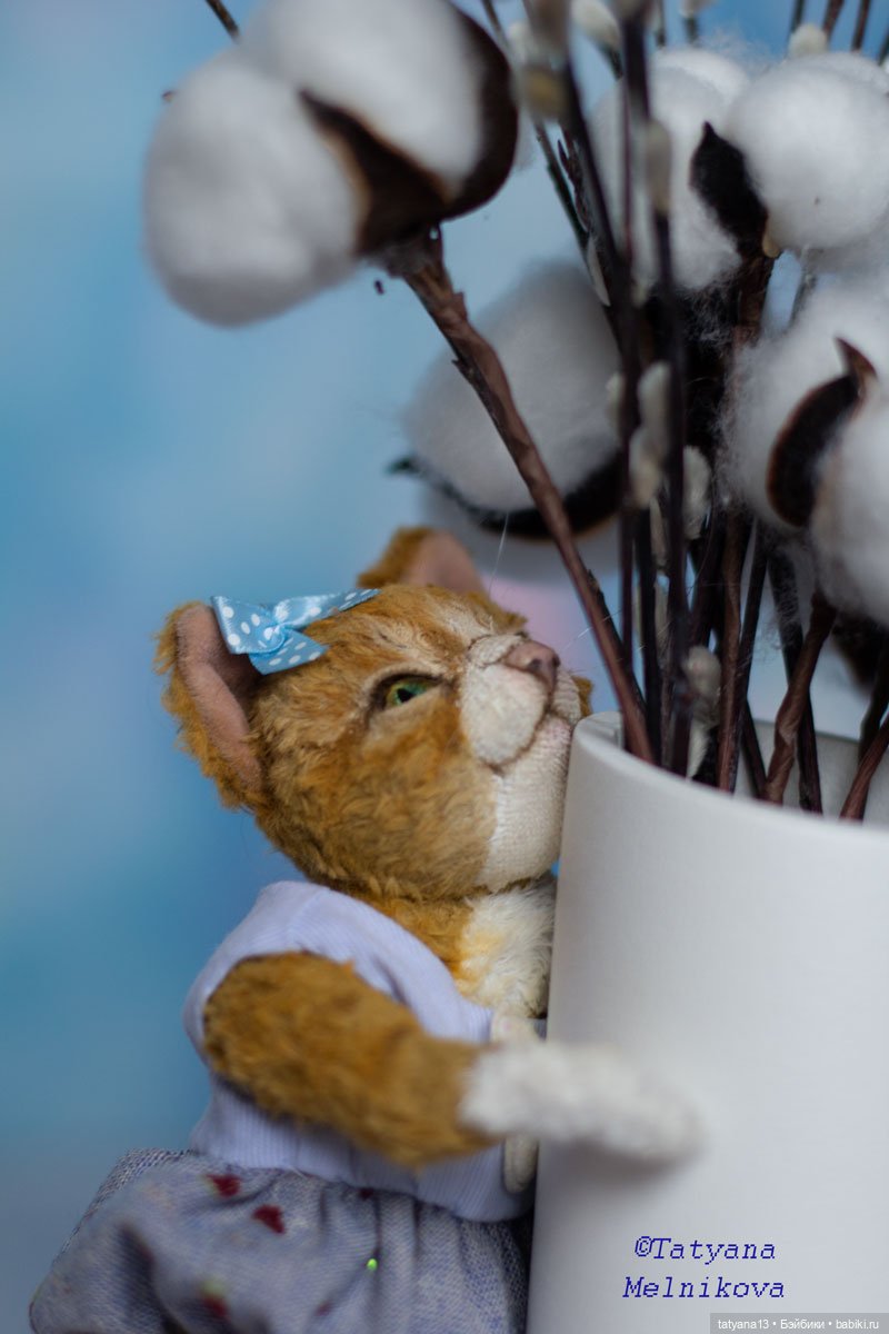 Очаровательная тедди кошечка Фифа (фото 5)