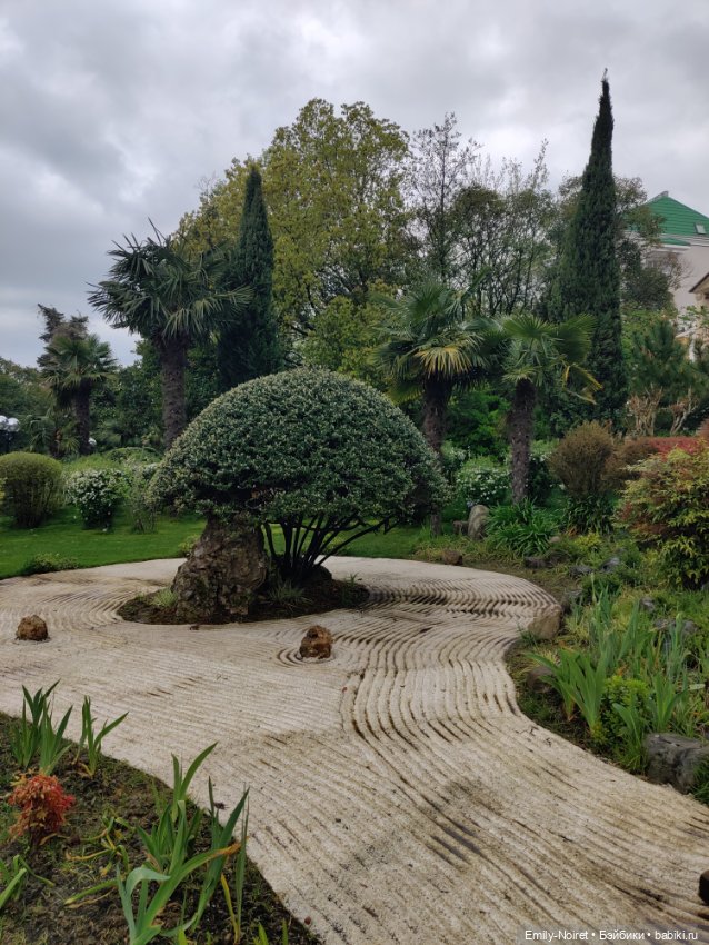 Сочи: Японский садик — Туризм и путешествия: фотоотчеты из поездок (фото 9)