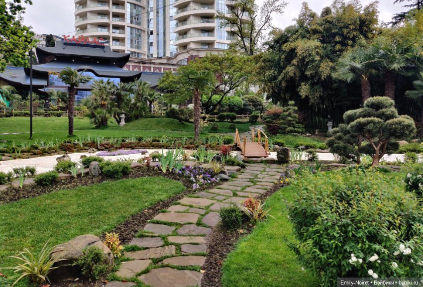 Сочи: Японский садик — Туризм и путешествия: фотоотчеты из поездок