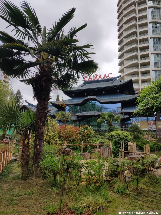 Сочи: Японский садик — Туризм и путешествия: фотоотчеты из поездок