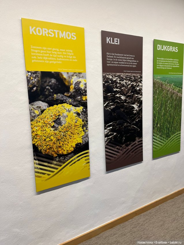 Fashion Dolls 498 — Туризм и путешествия: фотоотчеты из поездок (фото 2)