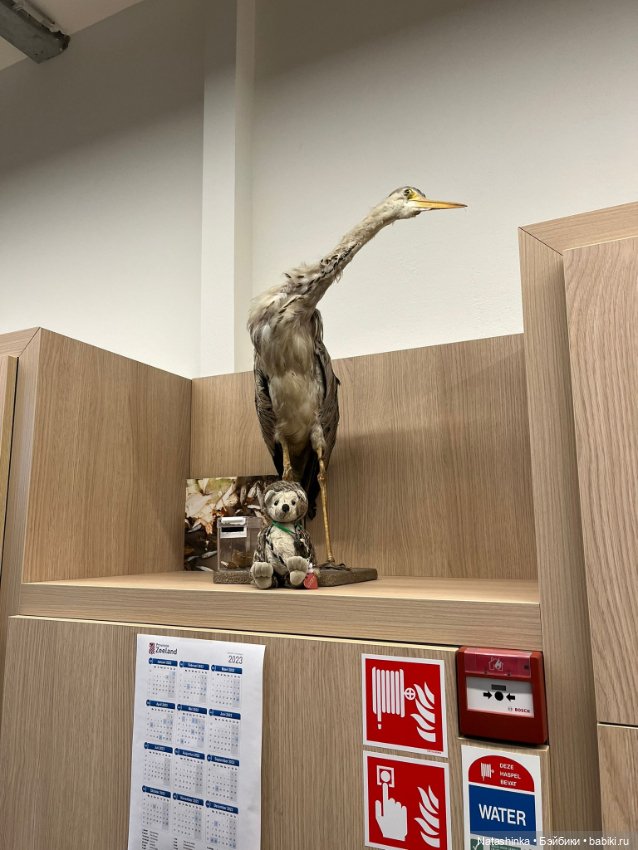 Fashion Dolls 498 — Туризм и путешествия: фотоотчеты из поездок (фото 4)