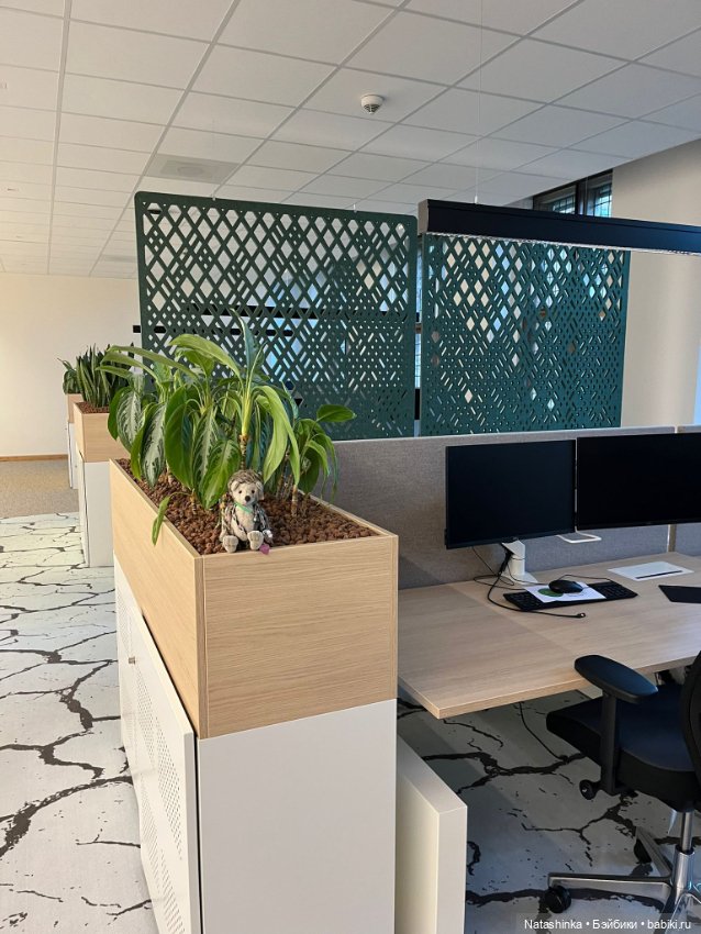 Fashion Dolls 498 — Туризм и путешествия: фотоотчеты из поездок (фото 3)