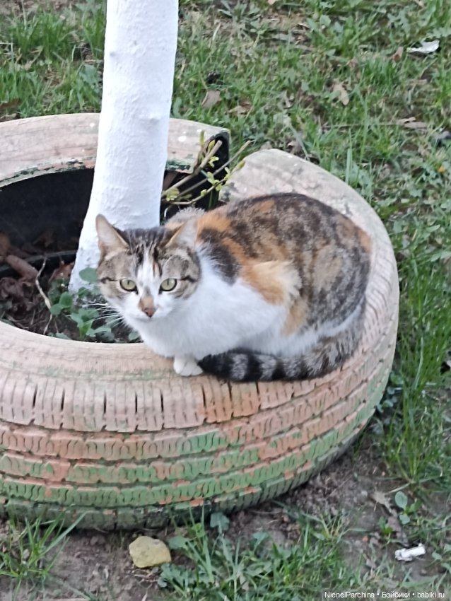 Новый образ Юми. Прогулка (фото 5)