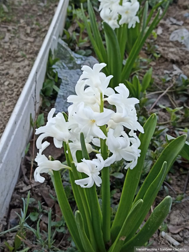 Новый образ Юми. Прогулка (фото 9)