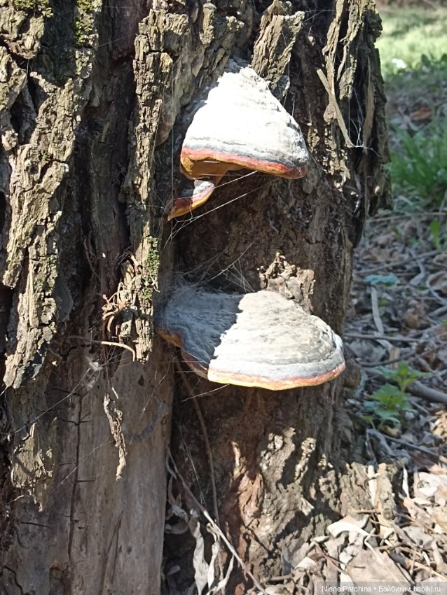 Новый образ Юми. Прогулка