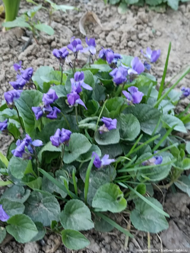 Новый образ Юми. Прогулка (фото 3)