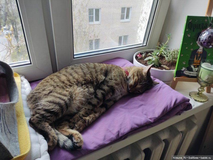 Внезапная лиса... ILY Disney 4ever - фанатка Тианы (фото 6)