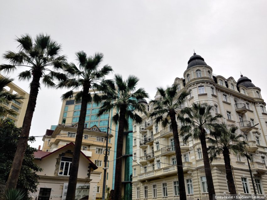 Сочи: Остатки сладки — Туризм и путешествия: фотоотчеты из поездок