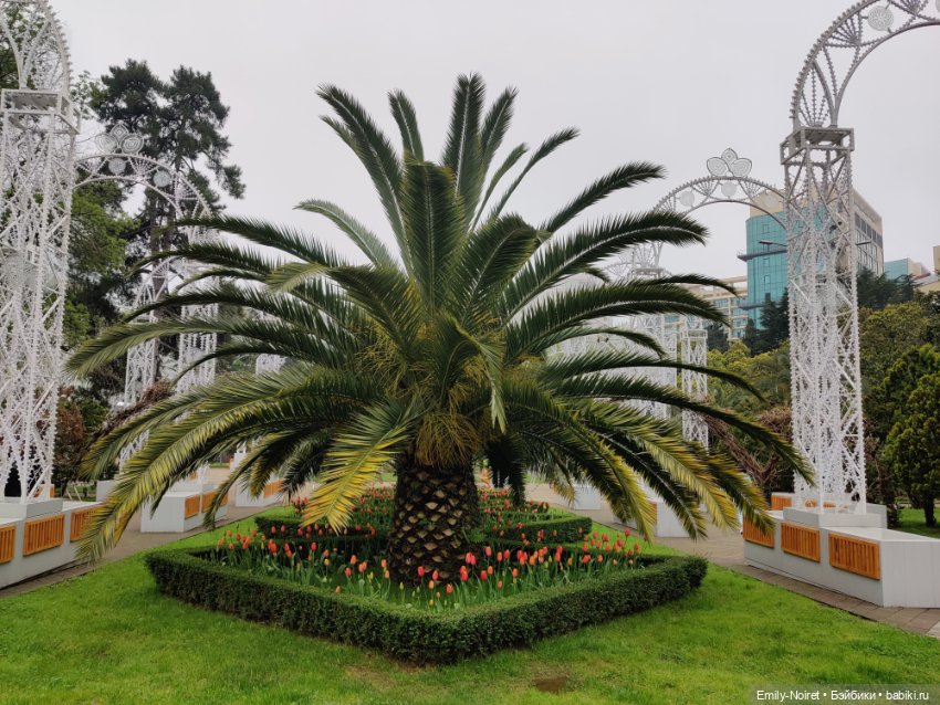 Сочи: Остатки сладки — Туризм и путешествия: фотоотчеты из поездок