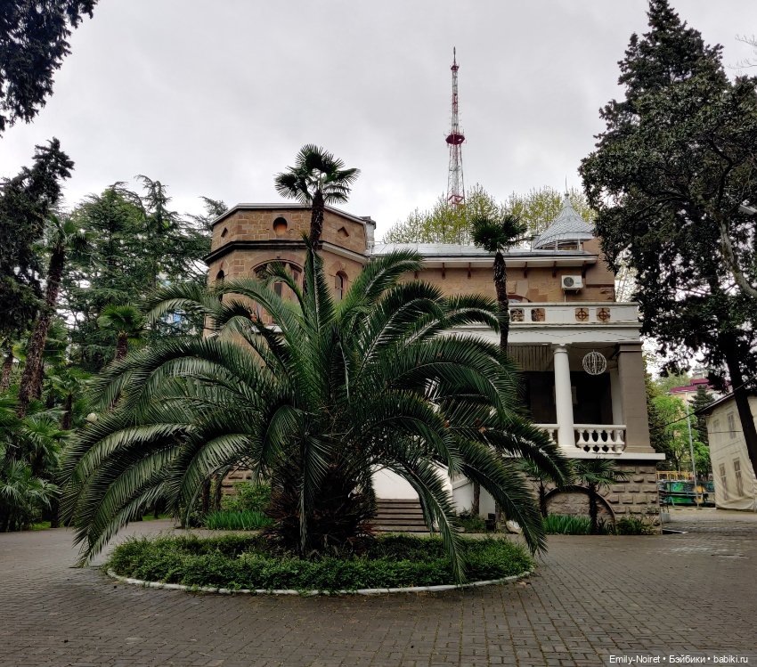 Сочи: Остатки сладки — Туризм и путешествия: фотоотчеты из поездок (фото 8)