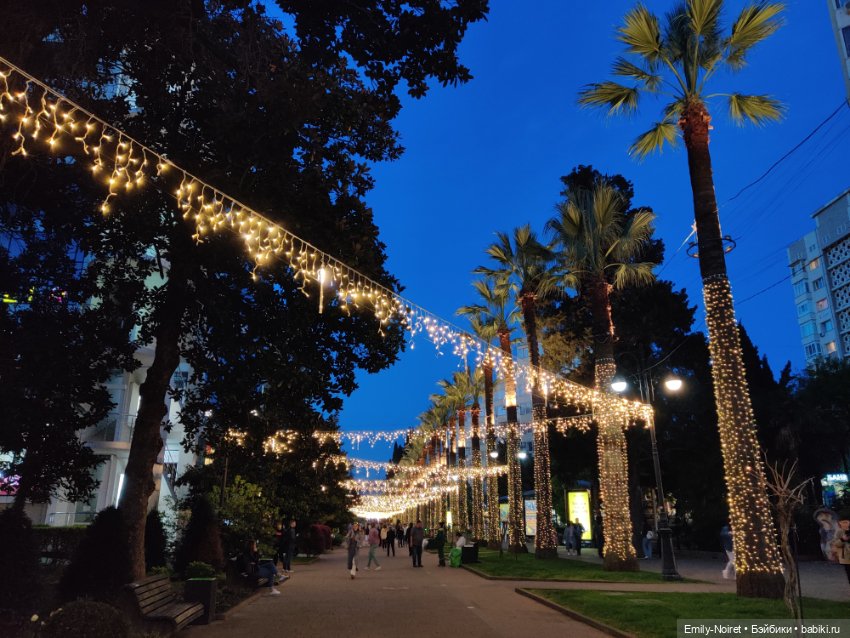 Сочи: Остатки сладки — Туризм и путешествия: фотоотчеты из поездок