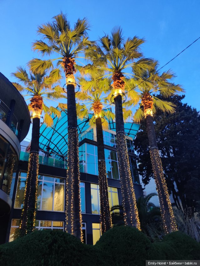 Сочи: Остатки сладки — Туризм и путешествия: фотоотчеты из поездок