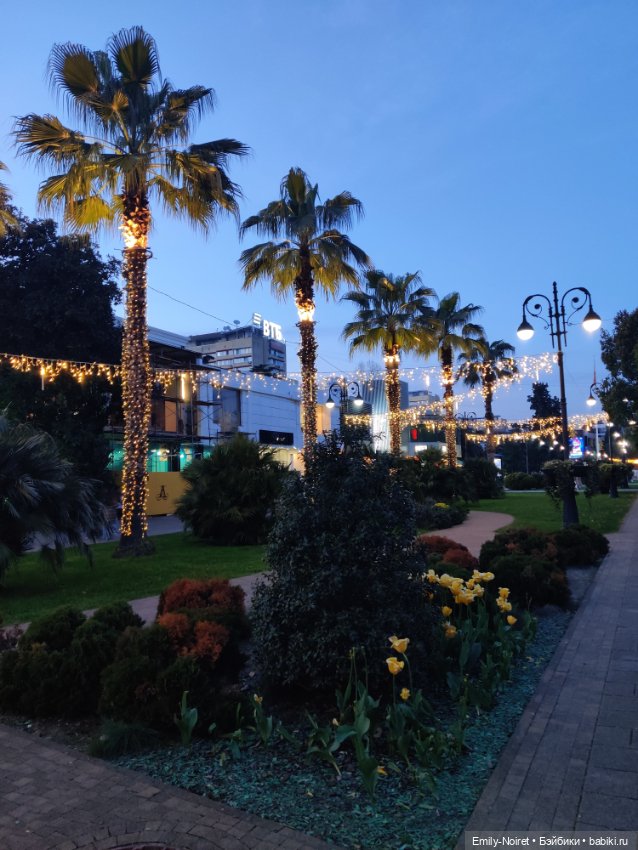 Сочи: Остатки сладки — Туризм и путешествия: фотоотчеты из поездок