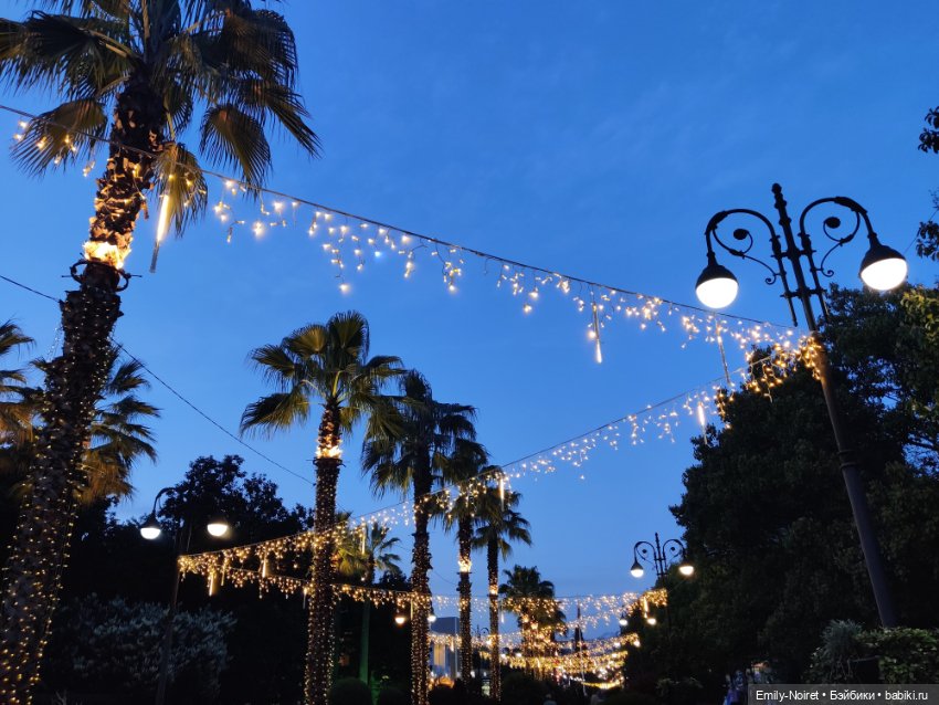 Сочи: Остатки сладки — Туризм и путешествия: фотоотчеты из поездок