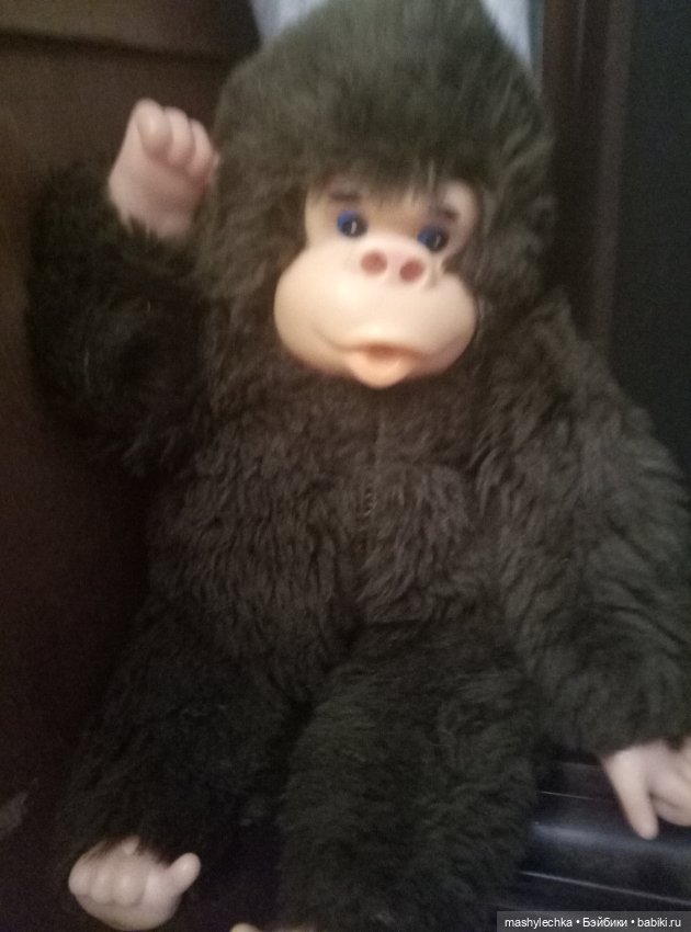 Что принес апрель — Домашние коллекции кукол: фото собраний (фото 2)