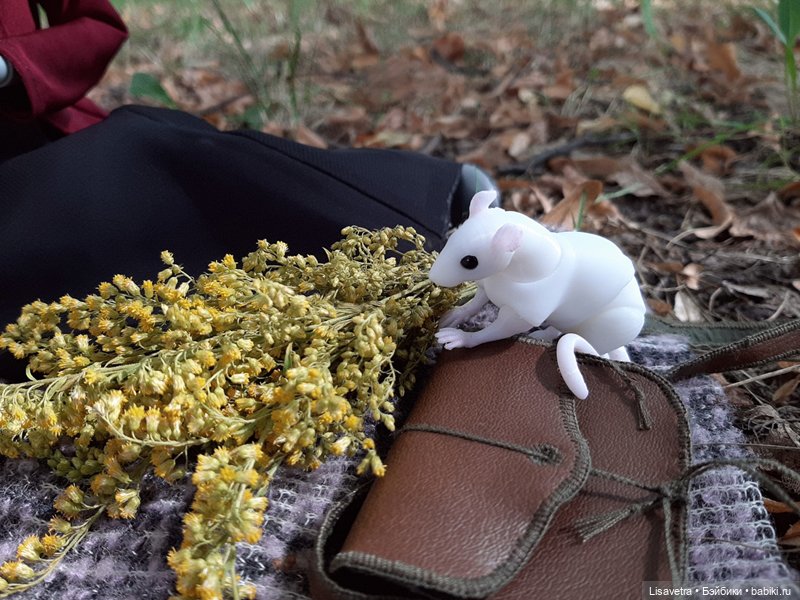 Майя и Квен: Минуты отдыха (фото 4)